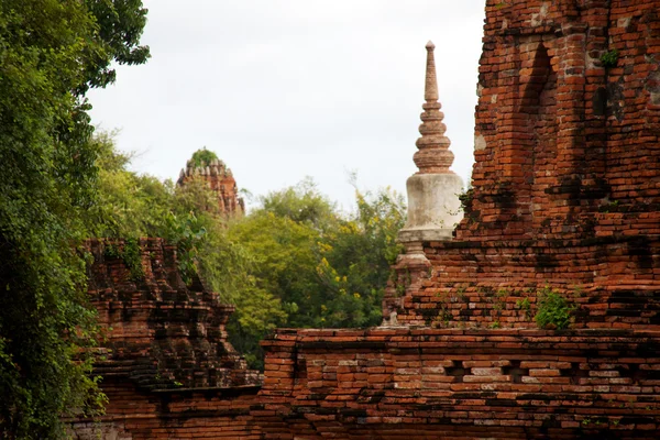 Pagoda en el templo de Wat Chaiwattanaram, Ayutthaya, Tailandia — Foto de Stock