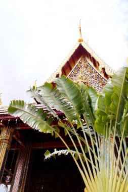 ayrıntı grand Palace'nin Bangkok, Tayland