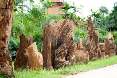 nongnooch tropikal Botanik Bahçesi, pattaya