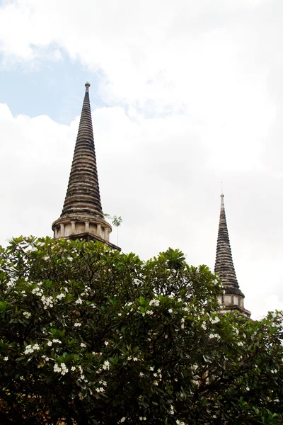 Пагода на храм ВАТ Chaiwattanaram — стокове фото