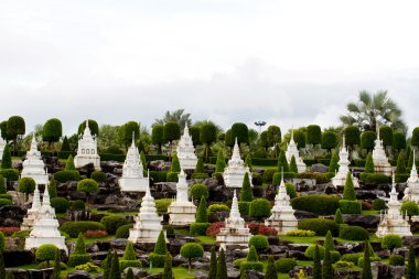 nongnooch tropikal Botanik Bahçesi, pattaya