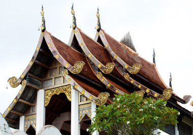 nongnooch tropikal Botanik Bahçesi, pattaya