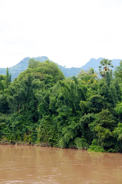 Río en la selva, Tailandia — Foto de Stock