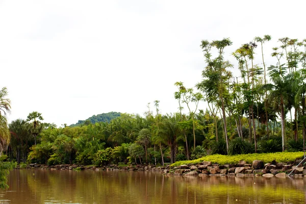 Rivière dans la jungle, Thaïlande — Photo