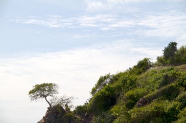 güzel mavi deniz similan adalarından Tayland, Asya