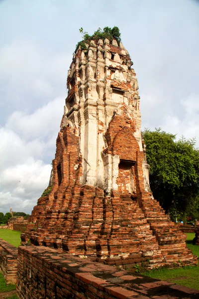 와트 chaiwattanaram 사원, 아유타야, 태국에서 탑 — 스톡 사진