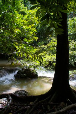 Erawan Şelalesi, Kanchanaburi, Tayland