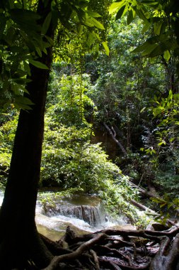 Erawan Şelalesi, Kanchanaburi, Tayland