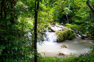 Erawan Şelalesi, Kanchanaburi, Tayland