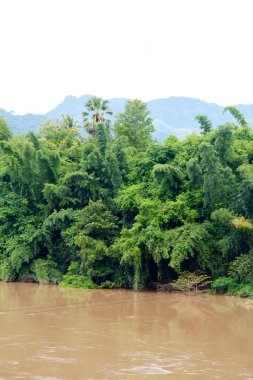 nehir ormanda, Tayland