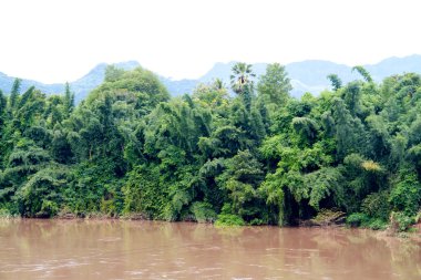 nehir ormanda, Tayland