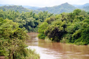 River in jungle, Thailand clipart