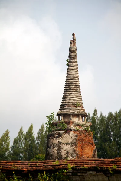 在 wat chaiwattanaram 寺，大城府，泰国宝塔 — 图库照片