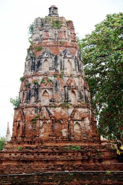 stock image Pagoda at Wat Chaiwattanaram Temple, Ayutthaya, Thailand