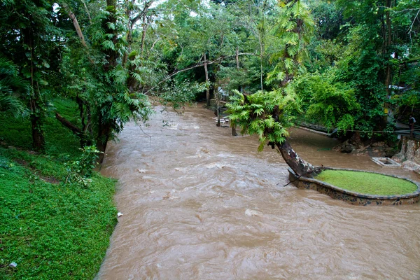Fluss im Dschungel, Thailand — Stockfoto