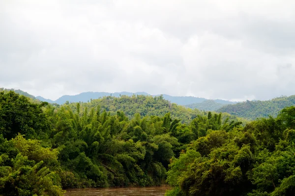 stock image River in jungle, Thailand