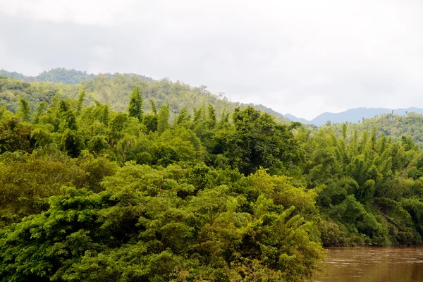 Río en la selva, Tailandia — Foto de Stock