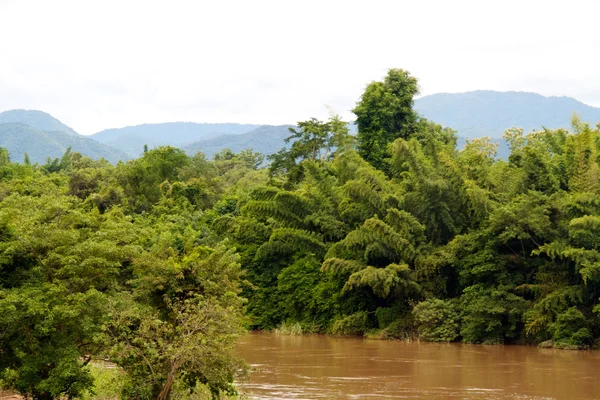 Río en la selva, Tailandia — Foto de Stock