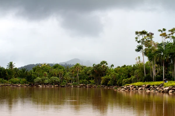 Rzeka w dżungli, Tajlandia — Zdjęcie stockowe