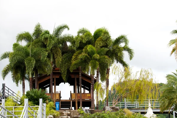 Nongnooch 热带植物园、 帕塔亚 — 图库照片