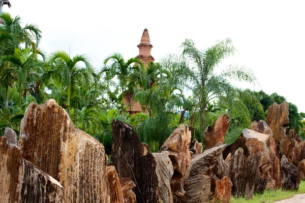 Nongnooch tropiska botaniskaträdgården, pattaya — Stockfoto