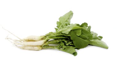 White radish on white background