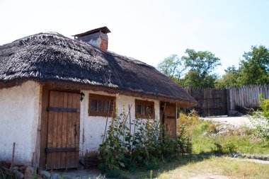 Ukrayna tarihi evi