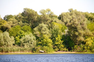 Dnipro Nehri'nin kıyısında