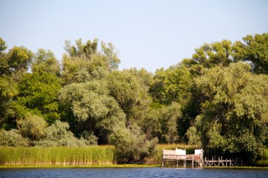 Dnipro Nehri'nin kıyısında