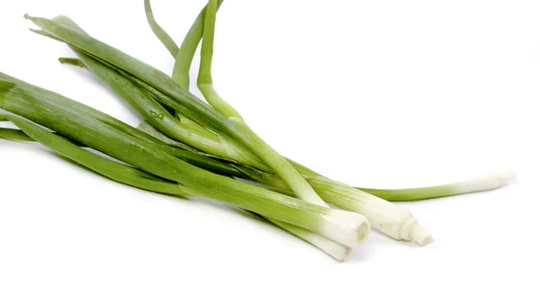 Beyaz arkaplanda yeşil soğan — Stok fotoğraf