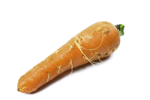 Zanahoria roja fresca sobre fondo blanco —  Fotos de Stock