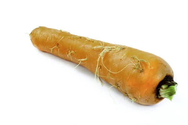 Fresh red carrot on white background — Stock Photo, Image