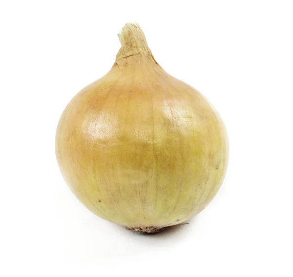 stock image Onion on a white background