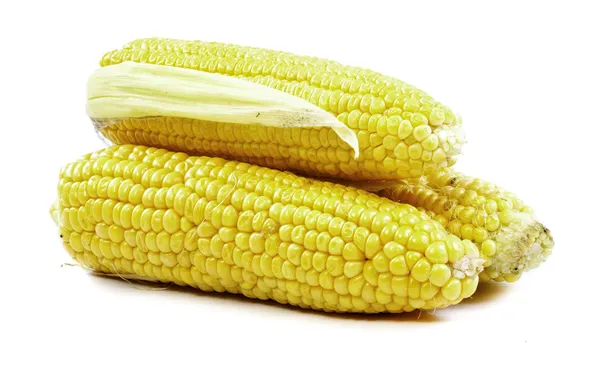 Corn on cob isolated on white background — Stock Photo, Image