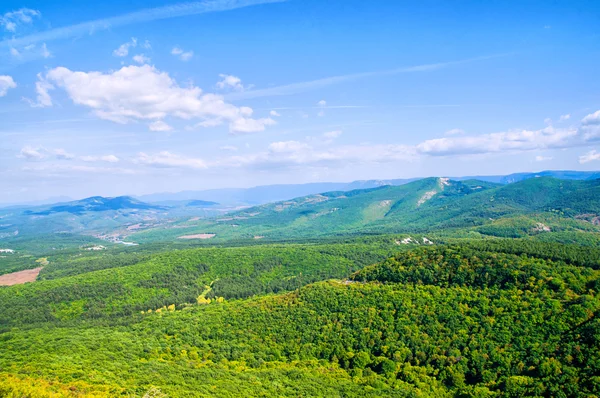 stock image Green meadow in mountain