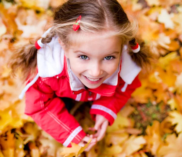 Sonbahar küçük bir kızın portresi — Stok fotoğraf
