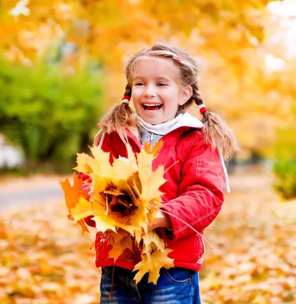Sonbahar küçük bir kızın portresi — Stok fotoğraf