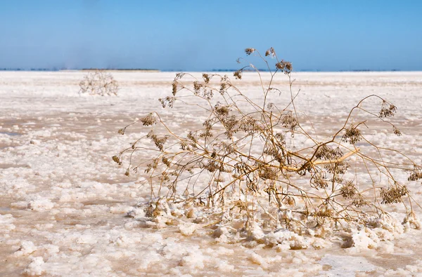青空の下で塩の湖 — ストック写真