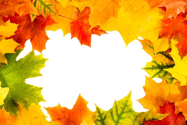 Φθινόπωρο κάρτα του χρωματισμένα φύλλα — Φωτογραφία Αρχείου