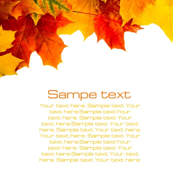Φθινόπωρο κάρτα του χρωματισμένα φύλλα — Φωτογραφία Αρχείου