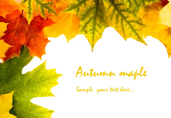Herbstkarte aus farbigen Blättern — Stockfoto