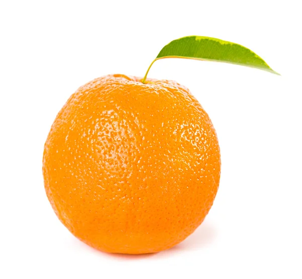 Orange frukter med gröna blad — Stockfoto