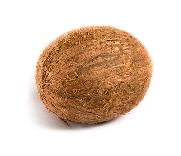 Kokosový — Stock fotografie