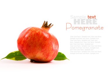 Pomegranate clipart