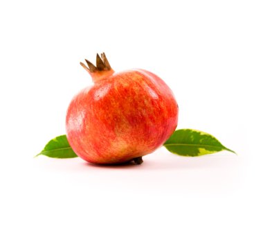 Pomegranate clipart