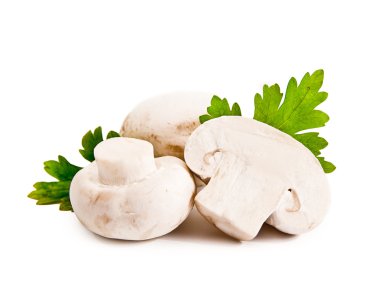 Raw mushrooms clipart