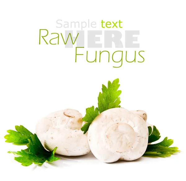 Raw mushrooms — Stock Photo, Image