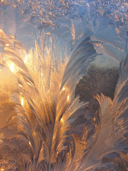 Ice mönster och solljus på vintern glas — Stockfoto