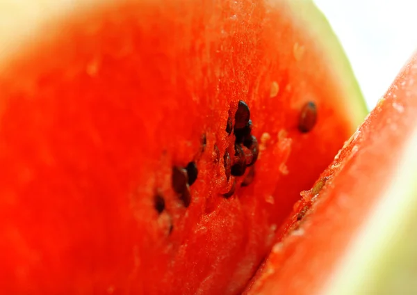 Meloun zblízka — Stock fotografie