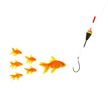 Goldfish clipart